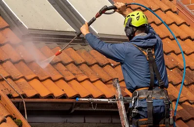 Démoussage et hydrofuge de toiture à Grilly